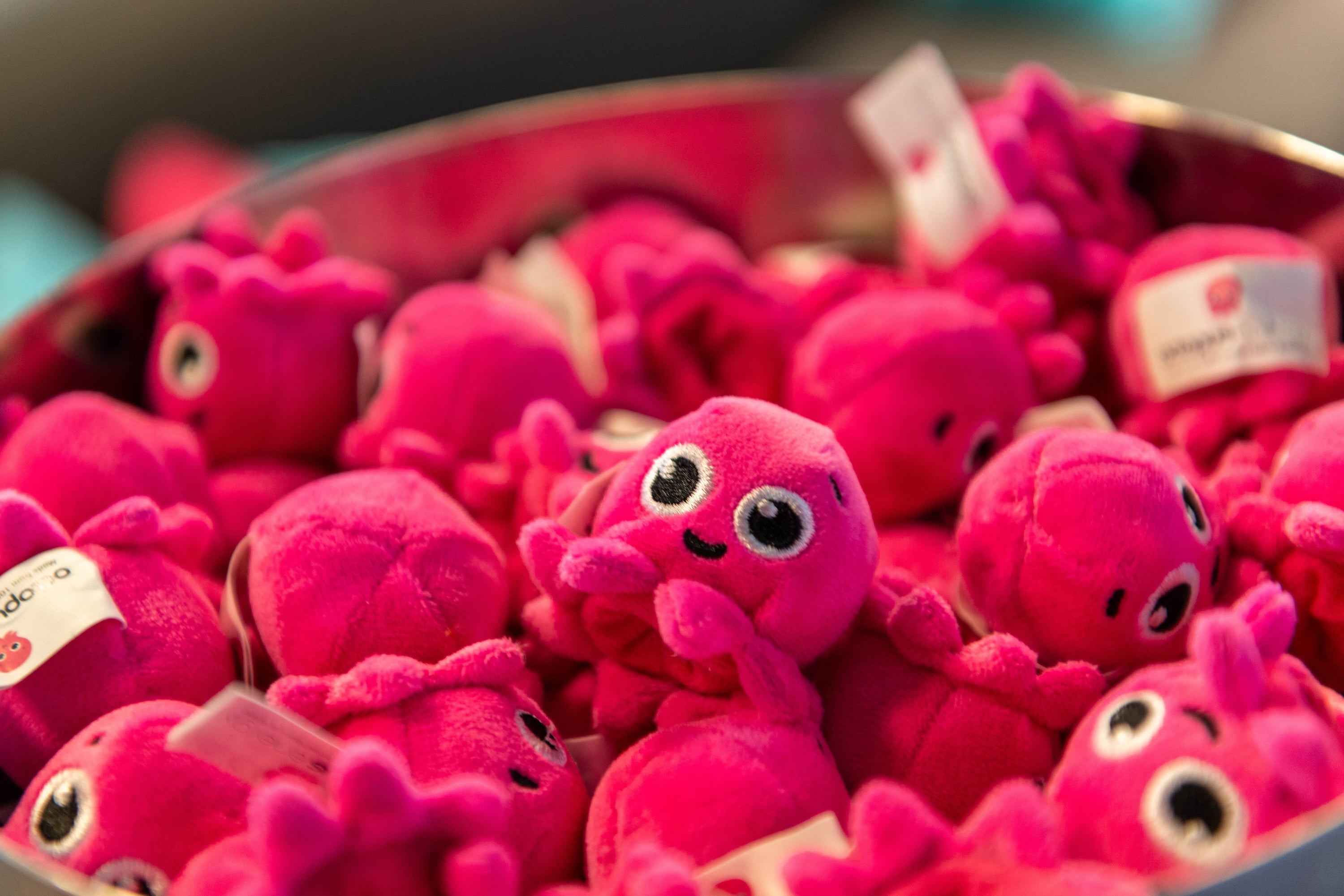 Header von Octopus Energy